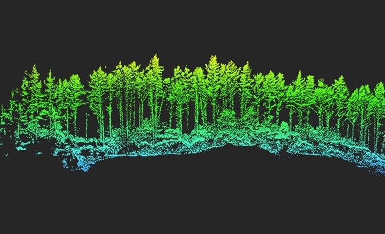 Nube de puntos LiDAR de un bosque coloreada por elevación